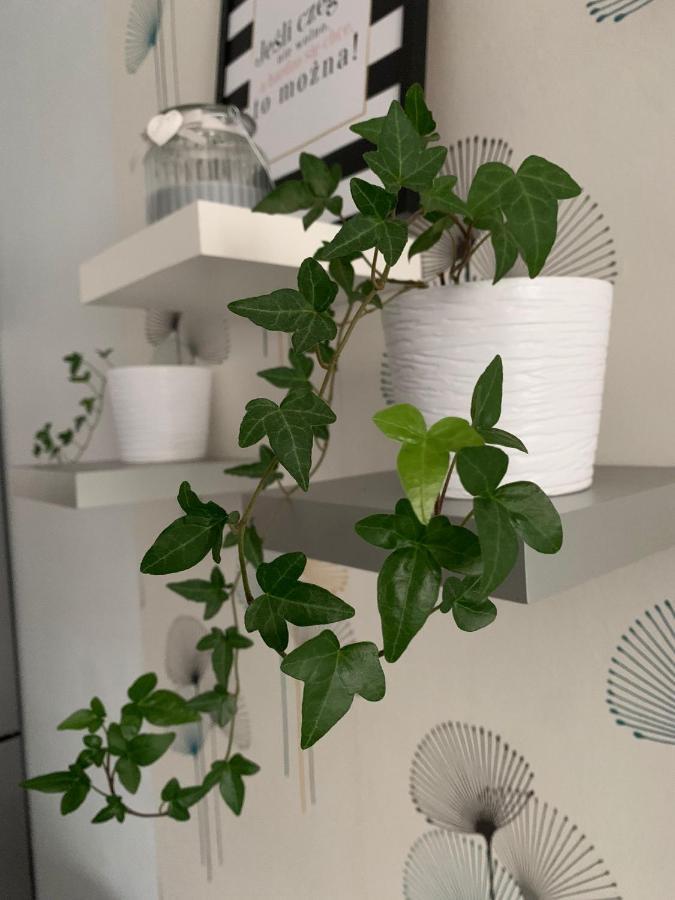 Apartament Polonia Apartment Szczecin Bagian luar foto